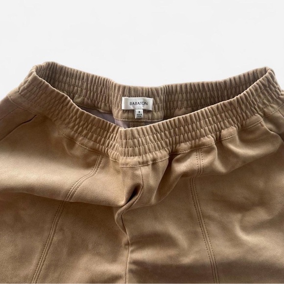 Aritzia Suede Shorts - Picture 3 of 4